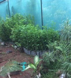 Jai Gurudev Plant Nursery