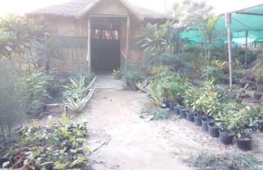 Jonas Nursery Horticulture Hub