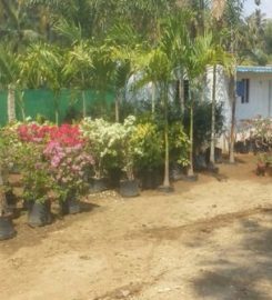 Shri Ram Nursery Garden
