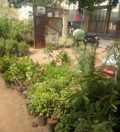 Ganesan Nursery Garden
