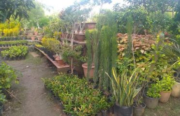 Urbanwoods Horticulture Nursery