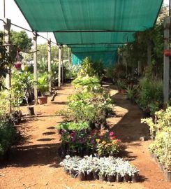 Darshan Garden and Farm Nursery