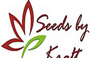 Kraft Seeds