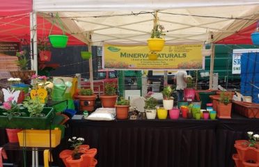 Minerva Naturals. Lalbagh