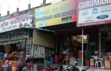 Mankeshwari Agro Services