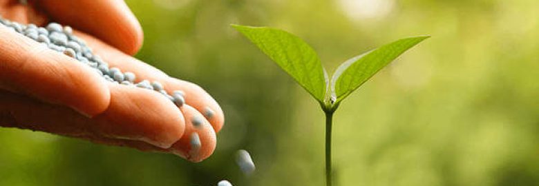 Agritech Seeds & Pesticides