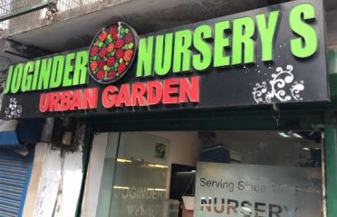 Urban garden by Joginder Nursery