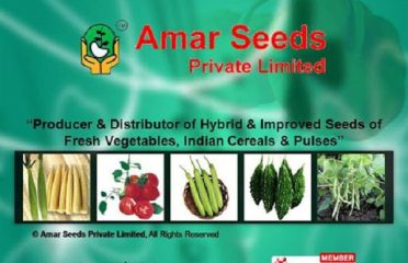 Amar Seeds