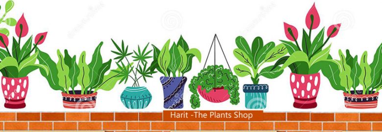 Harit- The Plants Shop