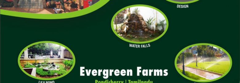 Evergreen farms